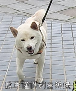 11408236004_3F9