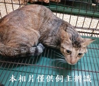 11408230007收25