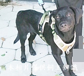 11408240004收19