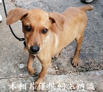 11408230006收