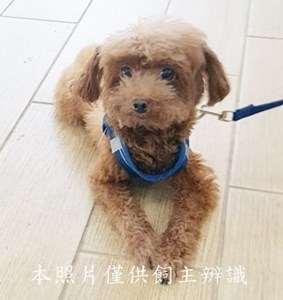 11408250010收-幼4