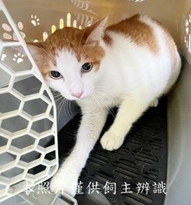 11408250013收-棄