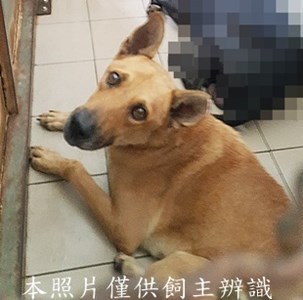 11408260003收-元17