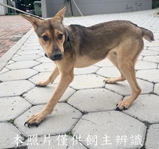 11408260016收O19