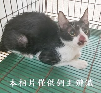 11408280008收22