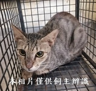 11408280012收