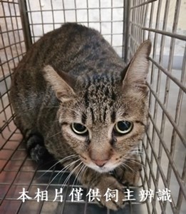 11408280013收43