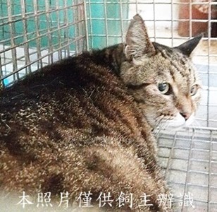 11408290001收76