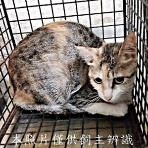 11408290002收13