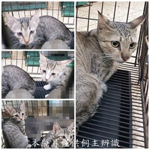 11408300008-12收
