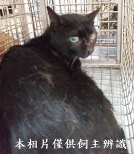 11409040010收70