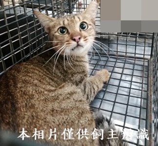11409080009收49