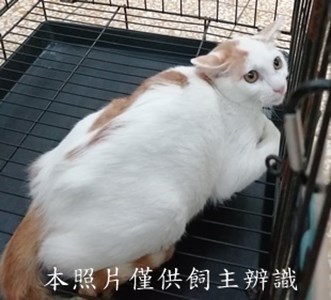 11409080004-1收78