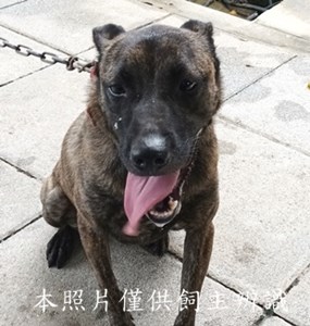 11409090012收 -棄