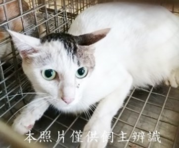 11409100001收52
