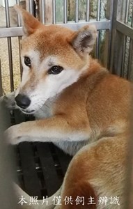 11409100004收A