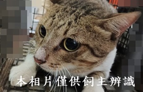 11409160001收-17