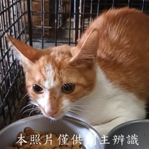 11410040004收-79