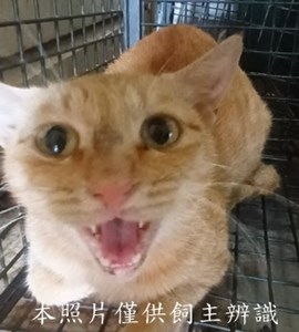 11410040005收-29