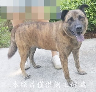 11410070007收-棄