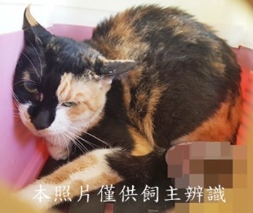 11410070008收-棄