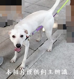 11410070009收-棄