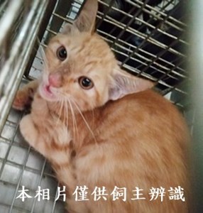 11410080009收27