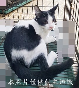 11410080015收-13
