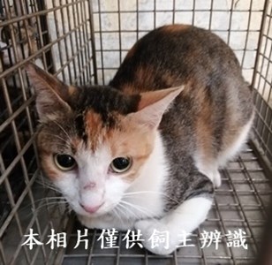 11410090013收74