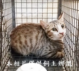11410090014收76