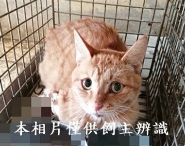 11410110001收68