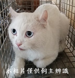 11410120001收77