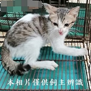 11410120002收63