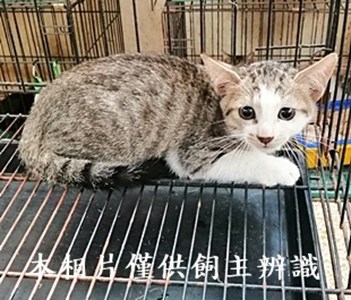 11410120003收24