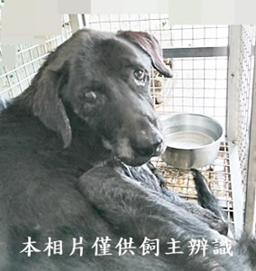 11410120004收安5