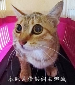 11410140012收-49