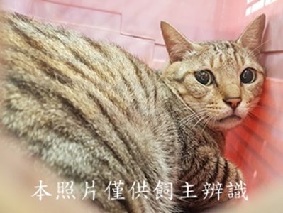 11410160011收-棄