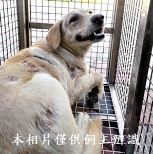 11410170003收-W