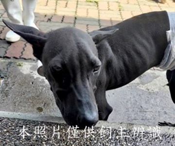 11410170013收-安6