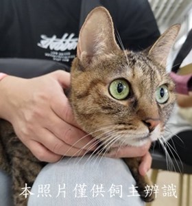 11410180011收