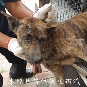 11410200003收-元13