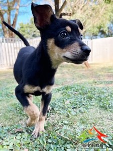 11409088009 中一 (3)