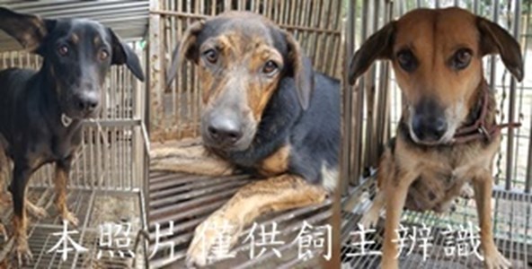 11411040010-12收--horz