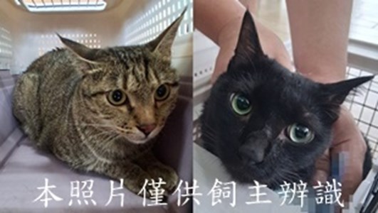 11411040025-26收-棄-horz