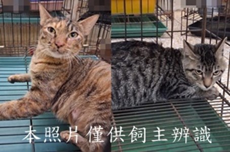 11411050010-11收horz