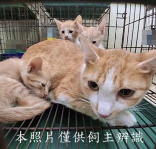 11411050012-15收-44