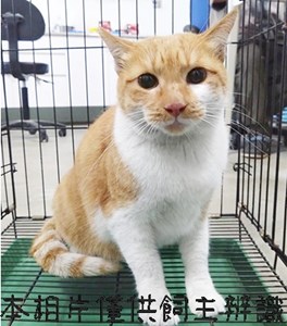 11411066003_3-15棄養