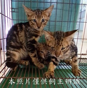 11411060011-13收-55