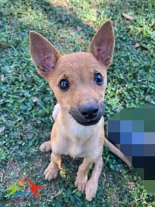 11410300005 金生 (3)