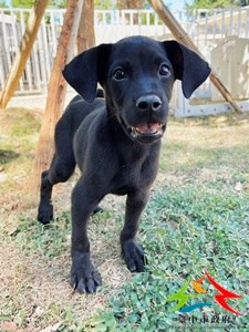 11410270004 金生 (2)